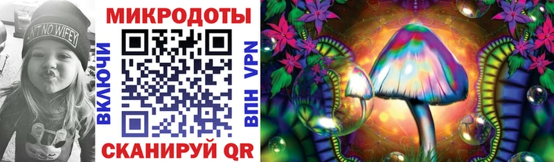 как найти закладки Новотитаровская Галлюциногенные грибы Magic Shrooms