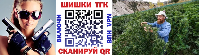 Бошки Шишки марихуана купить наркотики сайты Новотитаровская